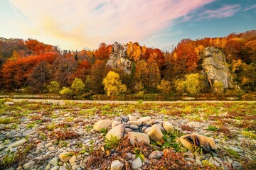 Rocky cliff with yellowed trees and mountain river in autumn - obrazy, fototapety, plakaty