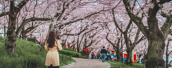 Traveler asian woman travel in sakura cherry blossom  tree in Gongendo park Saitama Japan in spring season