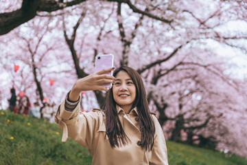 Traveler asian woman with mobile phone travel in sakura cherry blossom  tree in Gongendo park Saitama Japan in spring season - 766931545