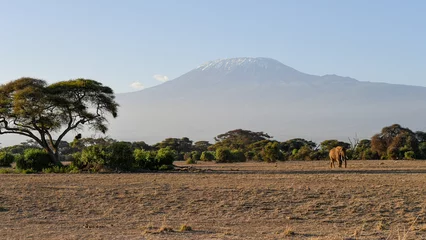 Papier Peint photo Kilimandjaro Amboseli National Park with Kilimanjaro
