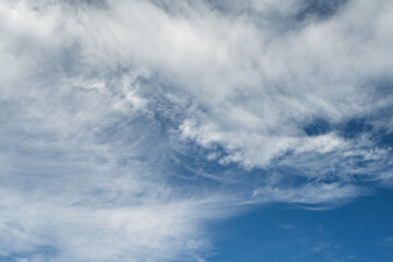 Obraz premium blue sky over the savannah of Africa