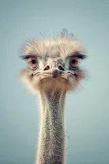 Deurstickers A close-up portrait of an ostrich © Veniamin Kraskov