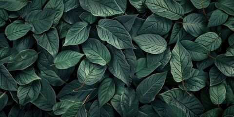Lush Green Organic Leaf Texture - obrazy, fototapety, plakaty