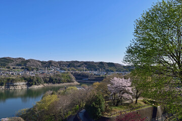 【神奈川県】春の津久井湖城山公園 湖畔