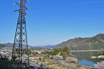 【神奈川県】春の津久井湖城山公園 湖畔