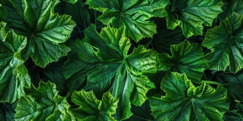 Vibrant Leafy Green Organic Texture - obrazy, fototapety, plakaty