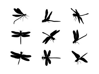 Set of Dragonfly Silhouette in various poses isolated on white background