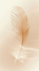 Beige pastel feather background