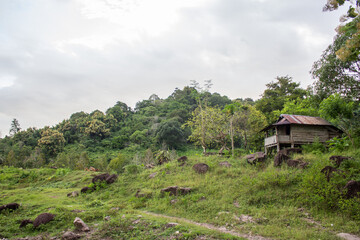 Mountain atmosphere in Patampanua subdistrict, Pinrang district.
Pinrang, South Sulawesi Indonesia.
March 24 2024