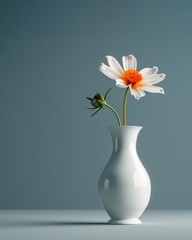Singular Daisy in Elegant White Vase.