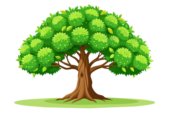 chestnut tree green leaves vector 