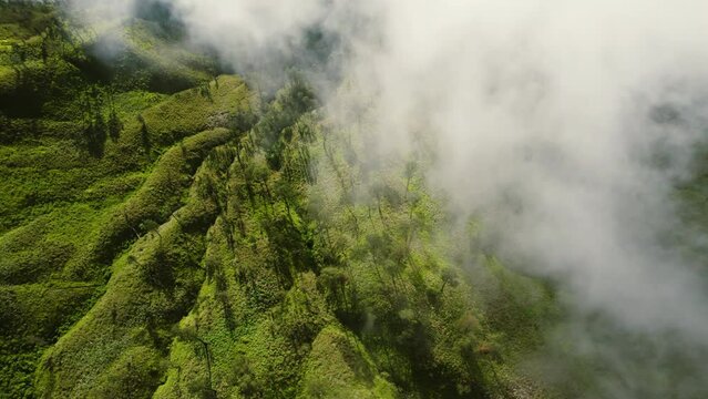 Aerial view of foggy mist clouds cover sunny green valley with trees solidified lava flows on top mountain. Concept of wild nature landscape, hiking climb, top hill