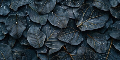 Dark Leafy Organic Texture Close-Up