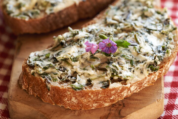 A slice of bread with nettle butter - homemade bread spread made of wild edible plants harvested in spring, with lungwort flowers