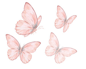 somon butterfly  pink butterfly two watercolor butterfly isolated on white monarch butterfly tawny Watercolor colorful butterflies painted fairy tale illustration for greeting cards, prints, post card