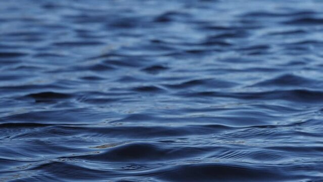 A dark blue water surface with rippling waves. Slow motion.