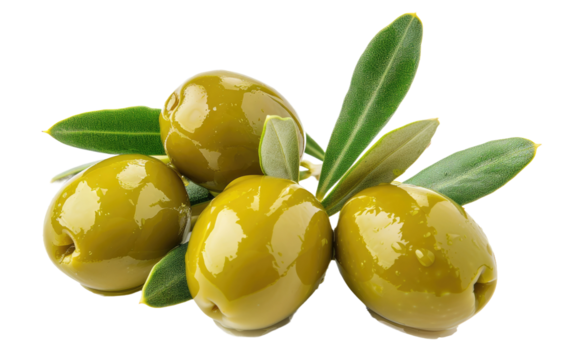 Verdant Olive Sprigs isolated on transparent Background