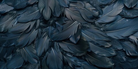 Close-up Detail of Dark Bird Feathers - obrazy, fototapety, plakaty
