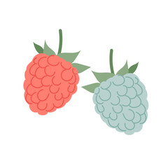 Raspberry and blackberry in flat style. Set of vector illustrations of ripe berries.
