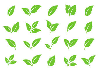 green leaves sprig branch set icon - 766950975