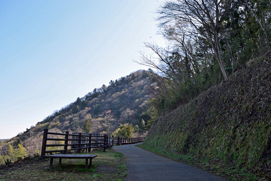 【神奈川県】春の津久井湖城山公園  森の中の遊歩道