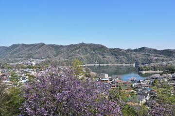 【神奈川県】春の津久井湖城山公園 湖畔