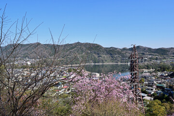 【神奈川県】春の津久井湖城山公園 湖畔