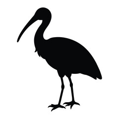 silhouette of a spoonbill on white