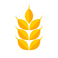 Yellow golden wheat rice food icon flat vector design