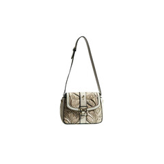 Crossbody Bag transparent background
