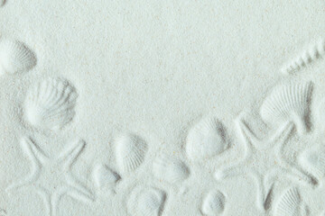 Fototapeta na wymiar Sandy beach texture with imprints of shells and starfish.