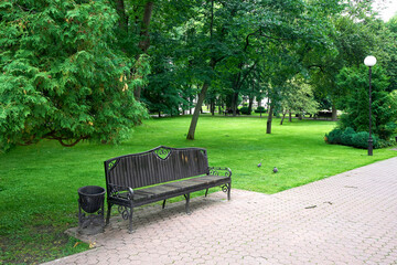 Vintage wooden bench in the Gomel park