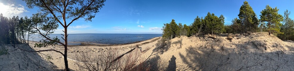 sand dunes and grass