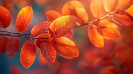 Poster Fiery orange and red leaves signaling autumns arrival © Premreuthai