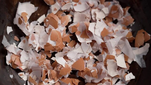 Crushed eggshell falling into a wooden bowl for calcium fertilizer preparation of agricultural soil. Rotation. Slow motion
