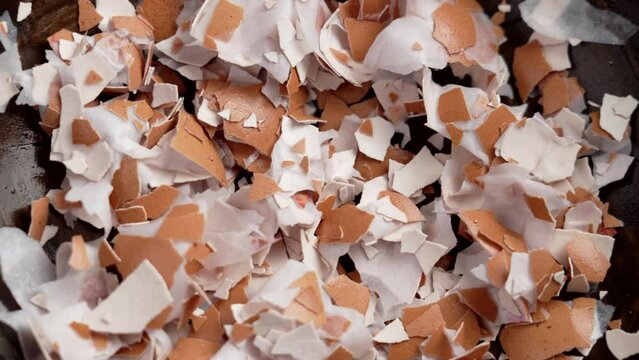 Pile of broken eggshells in wooden dish. Crushed shell. Calcium nutrient source. Organic compost Ingredient. Rotation