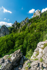 Beautiful scenery of forest with limestone rock formatios from Zbojnicky chodnik hiking trail in Mala Fatra mountains in Slovakia - obrazy, fototapety, plakaty