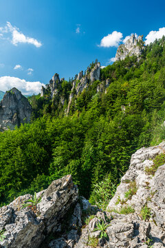 Beautiful scenery of forest with limestone rock formatios from Zbojnicky chodnik hiking trail in Mala Fatra mountains in Slovakia