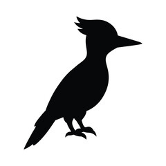 silhouette of a woodpecker  bird - obrazy, fototapety, plakaty