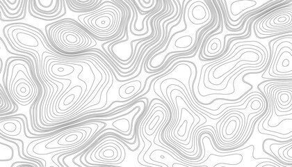 The stylized height of the topographic map contour in lines and contours. The concept of a conditional geography scheme and the terrain path. Gray lines on a white background. Vector illustration.