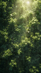 Obraz premium Enchanted forest, ancient trees, mysterious and dense foliage, sunlight filtering through leaves, creating a play of light and shadow, in a dreamy 3D rendering with a lens flare effect