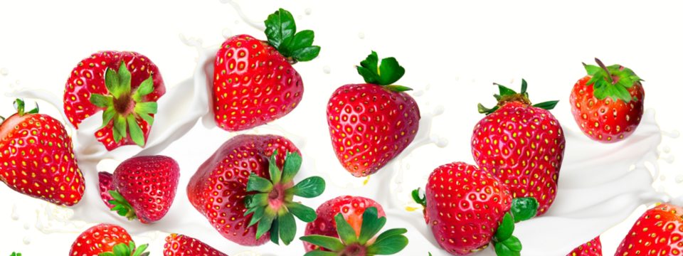 Juicy strawberries and milk. A splash of milk and strawberries. Template with transparent background with strawberries and splashes of milk. Berries and products,template for cooking