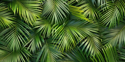 Green Palm Leaves Organic Texture
