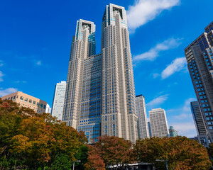 秋晴れの青空にそびえる東京都庁舎（東京都新宿区）