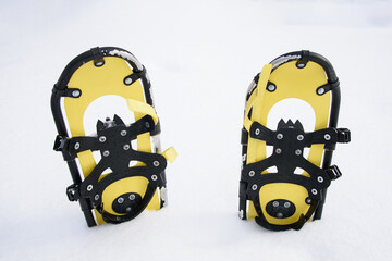 snowshoes sticking out of snowdrift