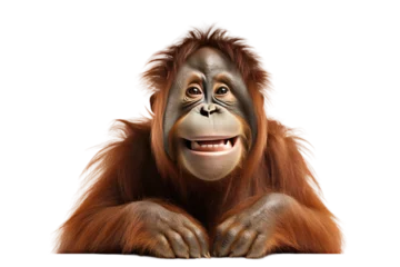 Foto auf Leinwand Cheerful Monkey Smiling Happily. On a Clear PNG or White Background. © Masood