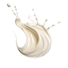 Fototapeten A beautiful curvy splash of dairy milk on an isolated background © samitha