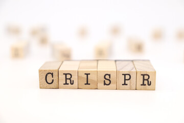 Acronym CRISPR (clustered regularly interspaced short palindromic repeats) gene editing concept