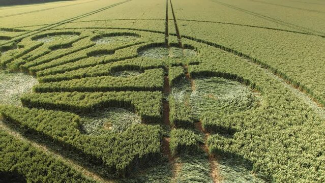 Crop Circle In Agricultural Field, Owslebury, England - Drone Shot 