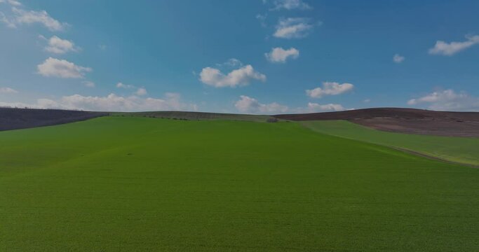 Aerial dolly shot vibrant green agricultural fields blue sky at the horizon, in the countryside on a spring sunny day